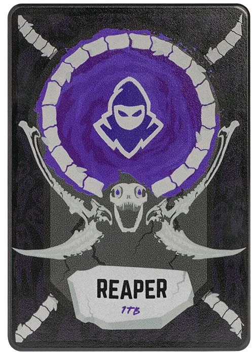 SSD Mancer Reaper 1TB