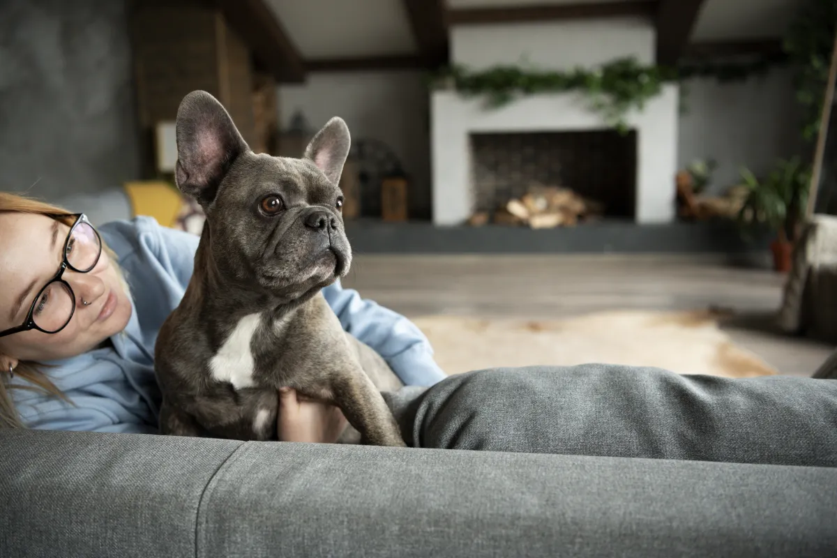 Por que ter um cachorro em apartamento