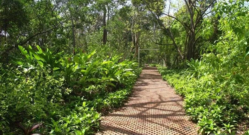 Jardim Botânico de San Andrés