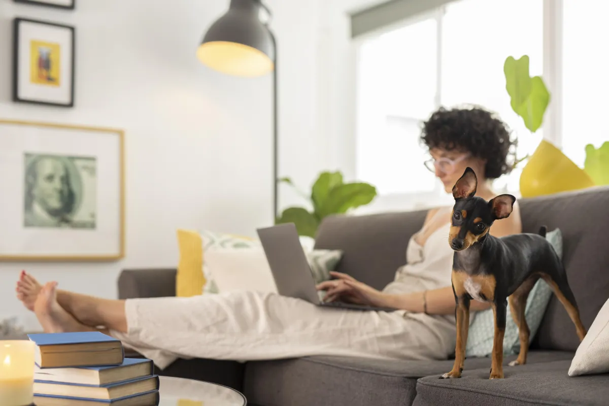 Quais raças de cachorros se adaptam melhor em apartamento? Confira estas dicas!