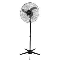 Ventilador Pedestal Oscilante 60 cm 110V Zincado