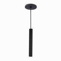 Pendente Tubo Palito 30cm - Preto