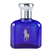 Perfume Ralph Lauren Polo Blue Masculino Eau de Toilette 40ml Único