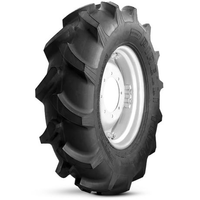 Pneu Agricola Aro 12 6.00-12 Tt 6 Lonas R1 Tm75 Pirelli