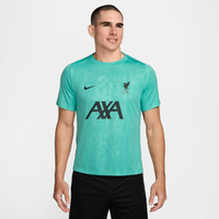 Camiseta Nike Liverpool Dri-FIT Academy Pro Masculina