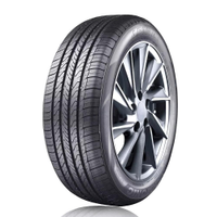 Pneu Aptany Aro 16 RP203 205/60R16 92H