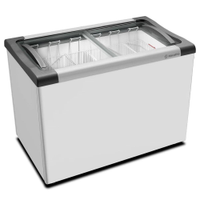 Freezer Expositor Horizontal Congelados Tampa Vidro 230 Litros NF30 - Metalfrio 127V - 110V