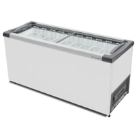 Freezer Expositor Horizontal Congelados Tampa Vidro 404 Litros NF55 - Metalfrio 220V - 220V