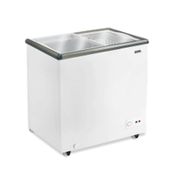 Freezer Expositor Horizontal EOS 150L Dupla Ação Eeh200 110V - 110V