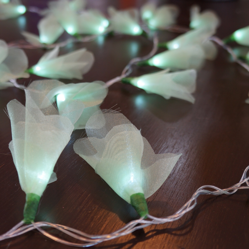 Cordão Luminoso Luz de Fada Organza Verde Claro 110v