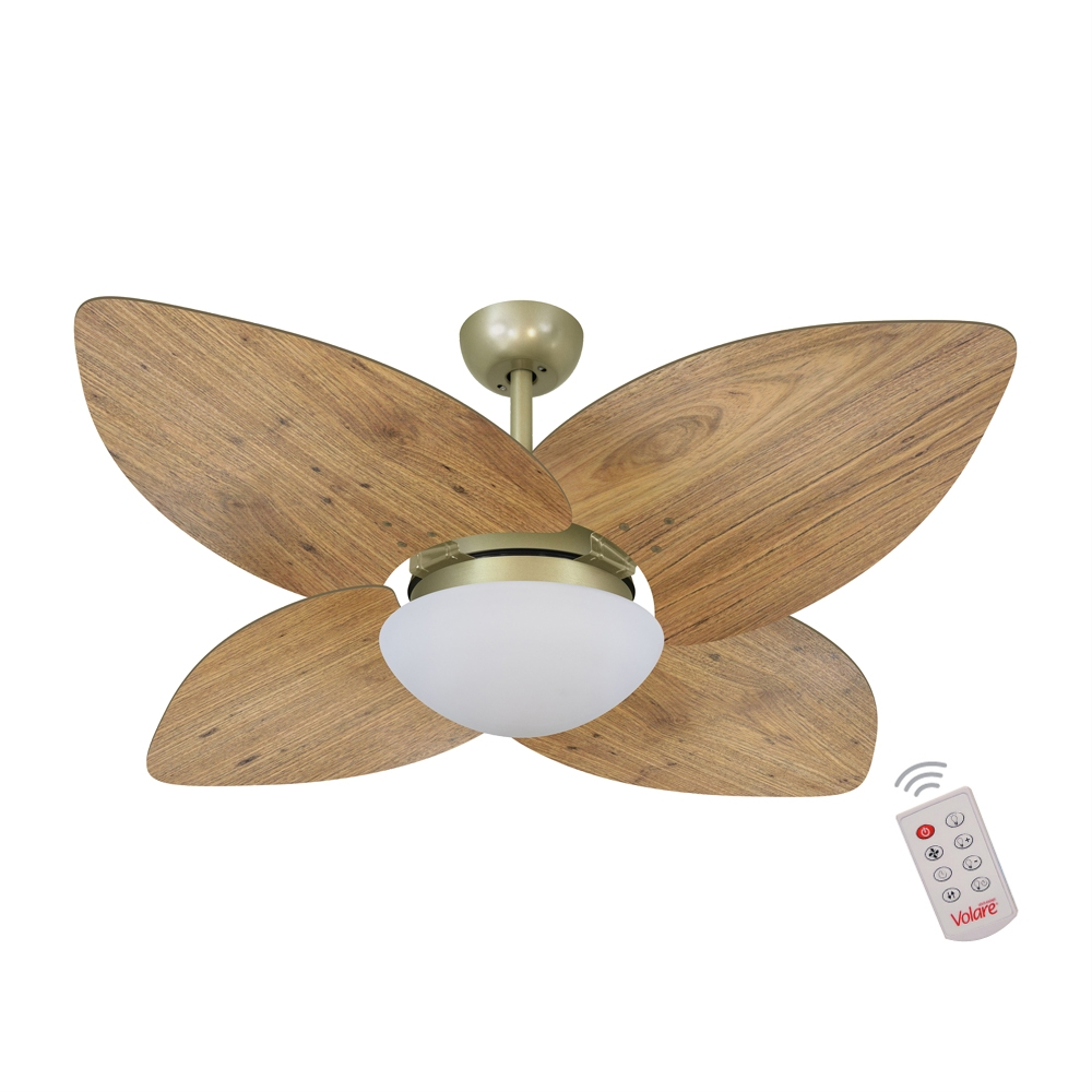 Ventilador de Teto Dormamu Gold 4 Pás Rádica 127V Controle