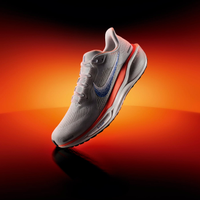 Tênis Nike Pegasus 41 Masculino Blueprint