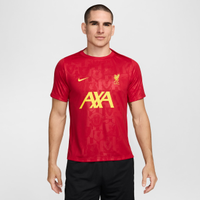 Camiseta Nike Liverpool Dri-FIT Academy Pro Masculina