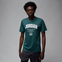 Camiseta Jordan Dri-FIT Masculina