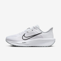 Tênis Nike Quest 6 Masculino