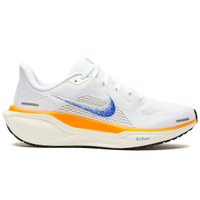 Tênis Nike Pegasus 41 Feminino