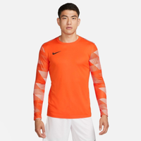 Camiseta Nike Dri-FIT Park 4 GK Masculina