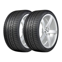 Kit 2 Pneus Delinte Aro 20 215/30 R20 Desert Storm 2 DS8 82W XL