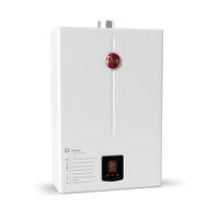 Aquecedor 22 litros digital EF Bivolt GLP Rheem