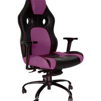 Cadeira Gamer para Escritório Linha Gamer Racing Cor Roxo