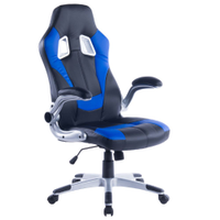 Cadeira Gamer Charlotte Preta E Azul - EC000010468