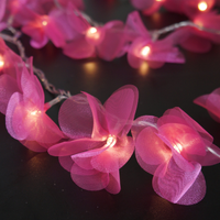 Cordão Luminoso Luz de Fada Pompom Pink 110v