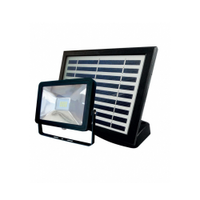 Refletor Led Taschibra Com Placa Solar Prime 01 IP44 Preto 6500K Luz Fria