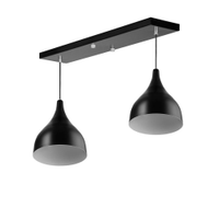 Lustre Pendente Gota Duplo Base Retangular Preto